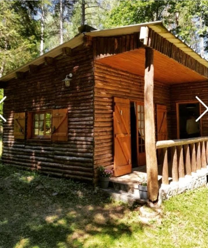 Ma Cabane Au Bord Du Lac Neuvic (Correze) Exterior foto